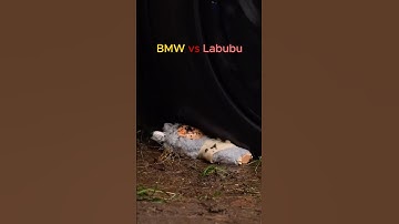 Cars Vs Labubu 💀