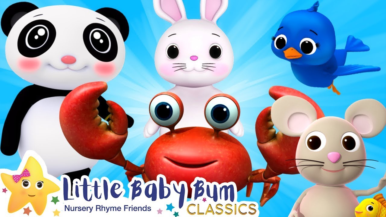 Learn Nature Song ++ | Learn English for Kids | Cartoons for Kids | Nursery Rhymes | Little Baby Bum