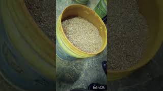 Part 5 Home Made Masalas