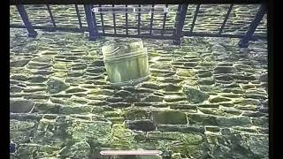 Skyrim bucket door warp glitch Sky View