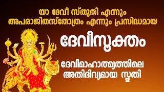 വിപരീതശക്തികളിൽനിന്നും പരാജയങ്ങളിൽ നിന്നും ദേവി കൈപിടിച്ചുയർത്തുന്നു. Devimahatmyam, #dakshina