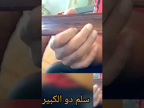 يا طير عود اكسبلور عزف طرب الزمن الجميل اغاني موسيقى 