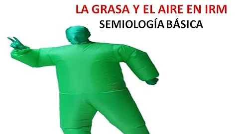 ¿Cómo aparece la grasa en la IRM?