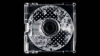 "2manyflashes" ginseng + lucy bedroque + prettifun type beat