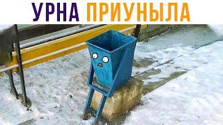 Урна приуныла. Приколы | Мемозг #446