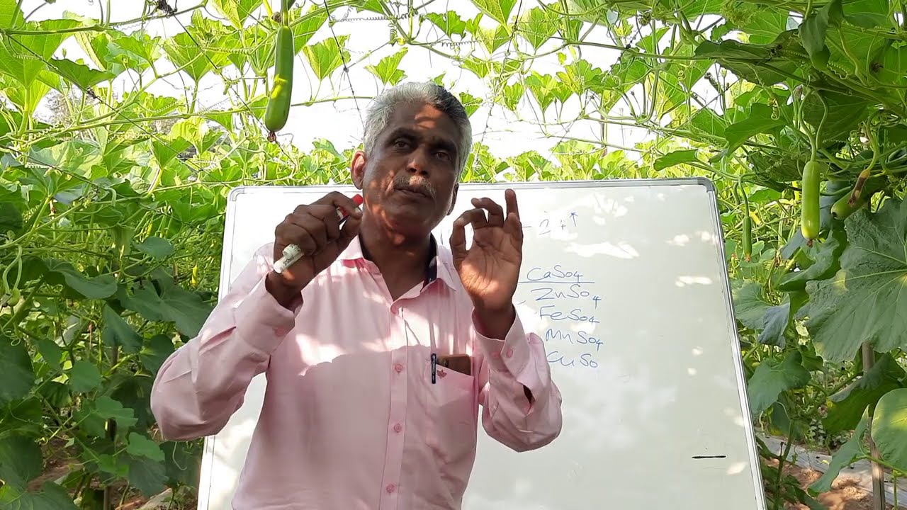 सूक्ष्मअन्नद्रव्ये किलेट-द ग्रेट इंडिया फॉर्म्युला /Partial Chealation-Great India Formula