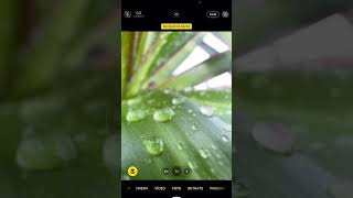 Como Fazer Foto Macro Com Celular Iphone