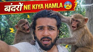 बंदरों के बीच फंस गया 😱 | Unexpected Attack 😡