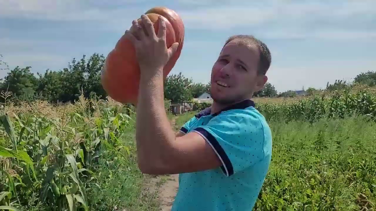 Переехали на ЮГ \\ Ужас что творится с домом \\ Неприятная история - YouTube