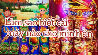 🇺🇸19:đi kéo máy ở Casino làm sao Cái máy nào biết cho mình ăn??!! screenshot 1