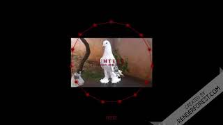 Umtucr - Birde Sen Gitme
