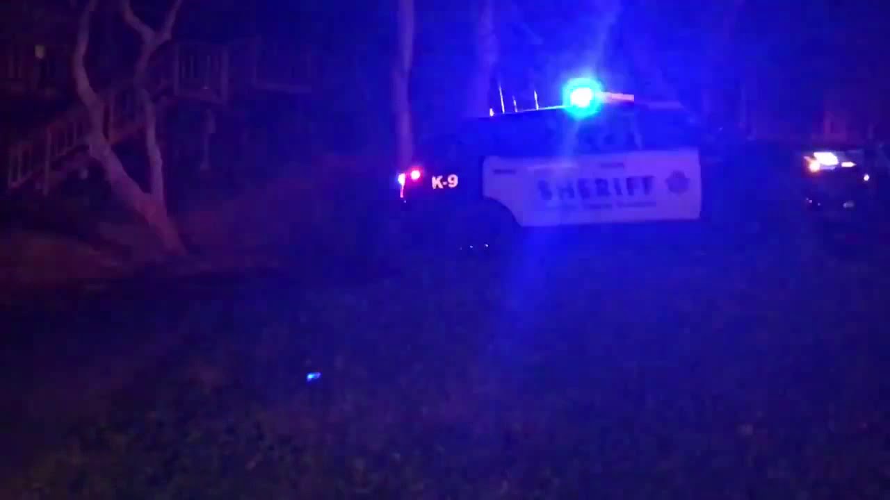 US, California, Orinda Shooting 4 People Killed In Halloween House Party