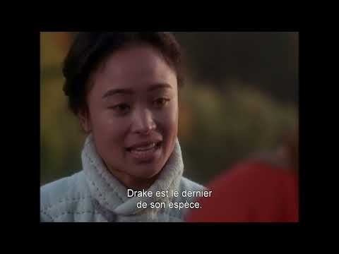 BANDE-ANNONCE (trailer) : Cœur de Dragon : un nouveau départ - DragonHeart 2 (HD / VOSTFR)