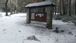 (Directo) Senderismo con Nieve en el Valle de la Fuenfría ❄️ | Sierra de Guadarrama