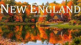 New England Autumn 4K 🍂 Stunning Fall Foliage, Colorful Forests & Scenic Mountain Landscapes