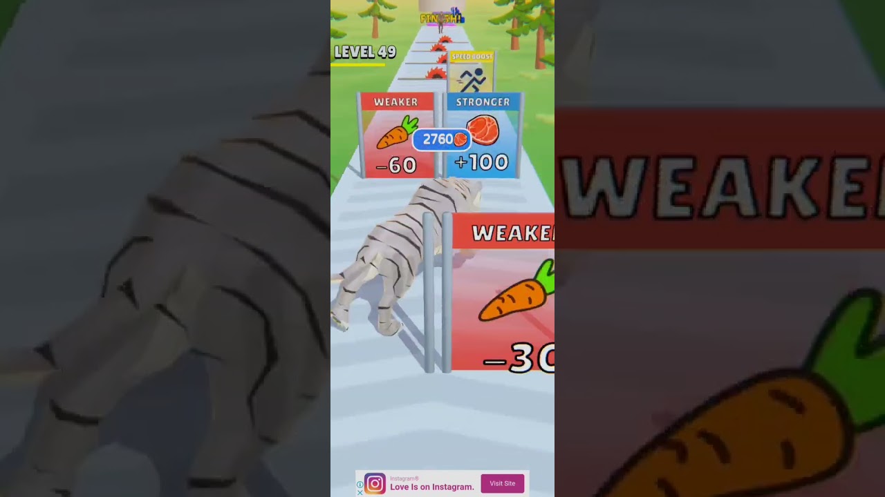 Cat Evolution Run!Gameplay 🐈 