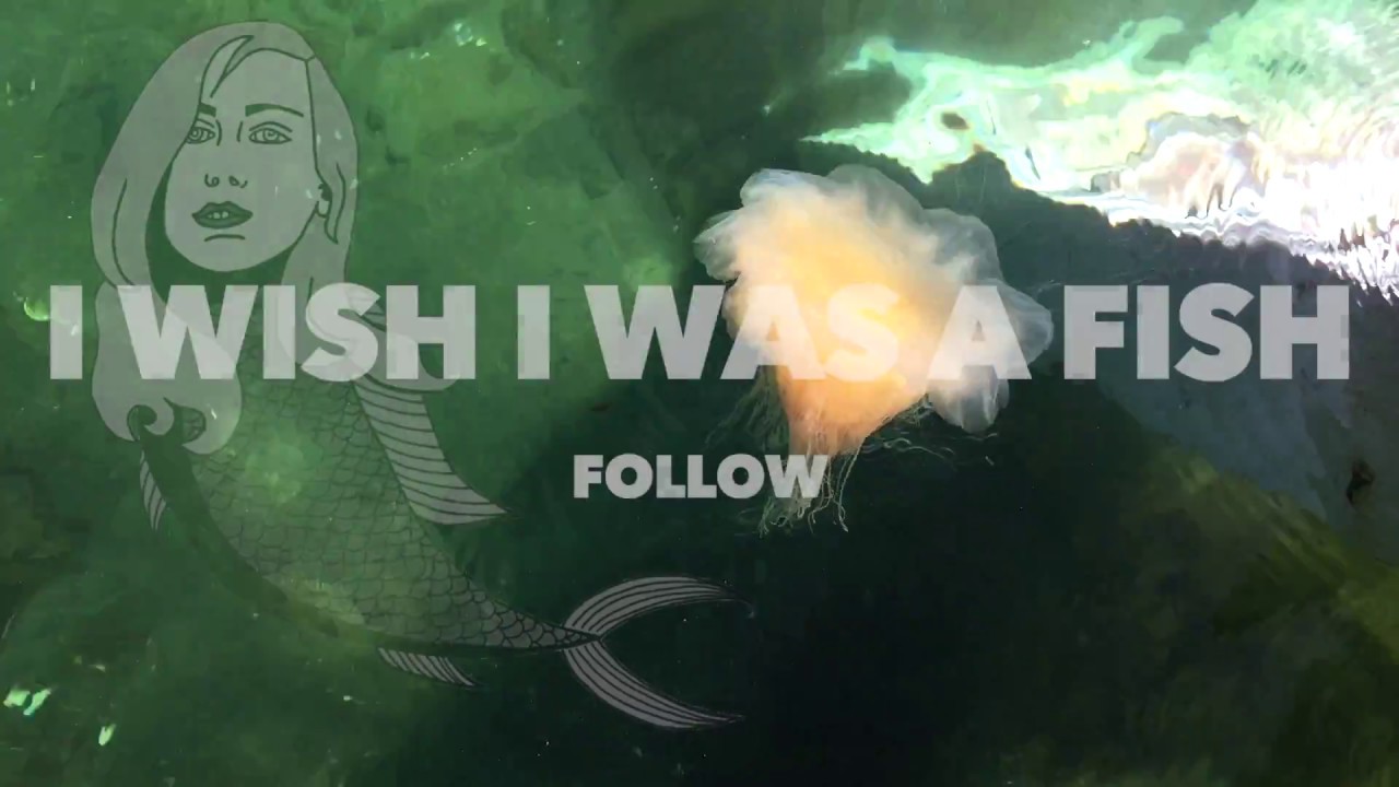 I Wish I Was A Fish Follow YouTube