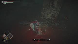 Sodden Ring  Glitch