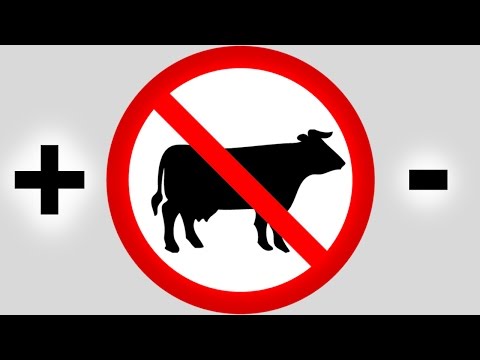 Video: Solltest Du Kein Fleisch Essen?