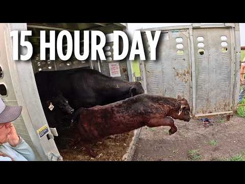 Day in the Life of a 5th Generation Farmer