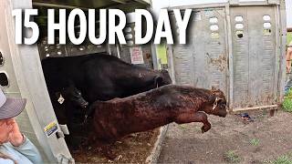 Day in the Life of a 5th Generation Farmer