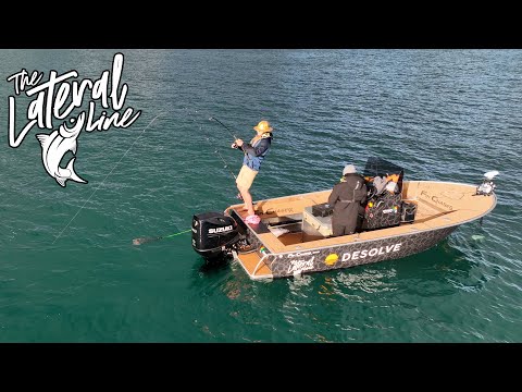 Milan Lands King Fatty On The New Boat (Fin Chaser 560)