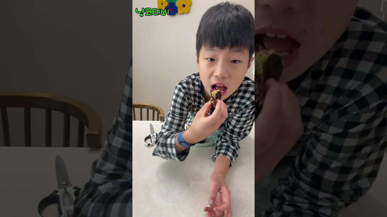 냥코TV)두쫀쿠 도전