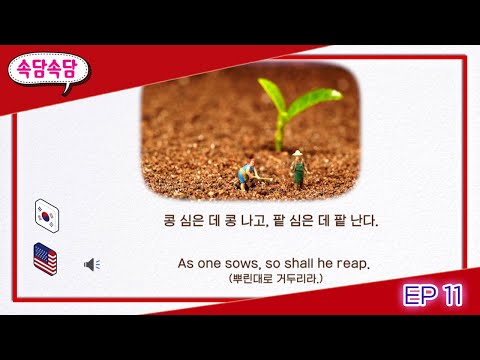 [속담속담] 콩 심은 데 콩 나고, <strong>팥</strong> 심은 데 <strong>팥</strong> 난다