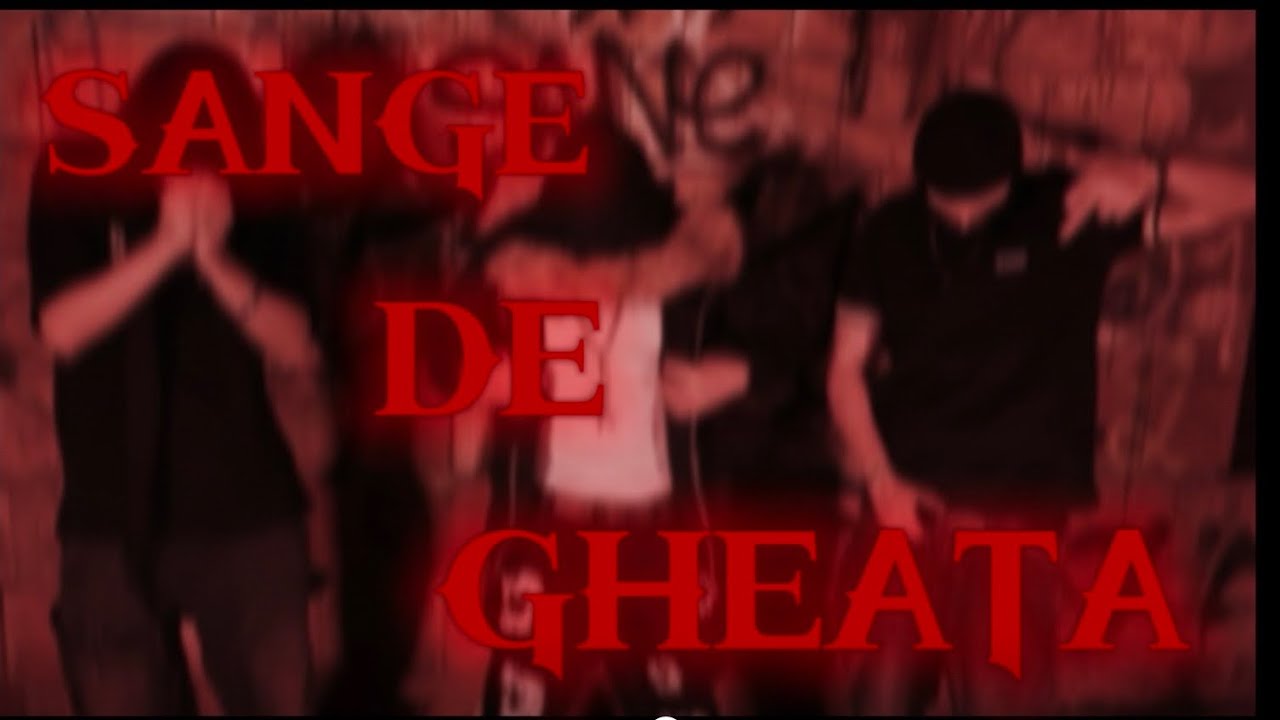 DMT X $H0RT-$ANGE DE GHEATA