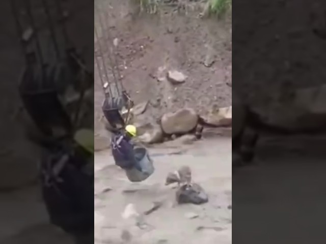 Anjing diselamatkan dari amukan sungai di Bolivia #shorts class=