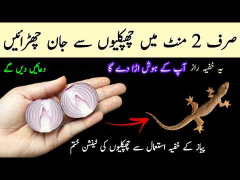 You will be shocked to see magical way get rid of lizard by onion 😱chipkali bhgane ka asan tarika