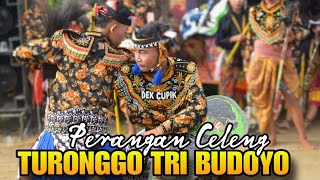 JARANAN TURONGGO TRI BUDOYO TARI SENTEREWE | PERANG CELENG LIVE WAWASAN TANJUNG SARI LAMSEL |MKO-998