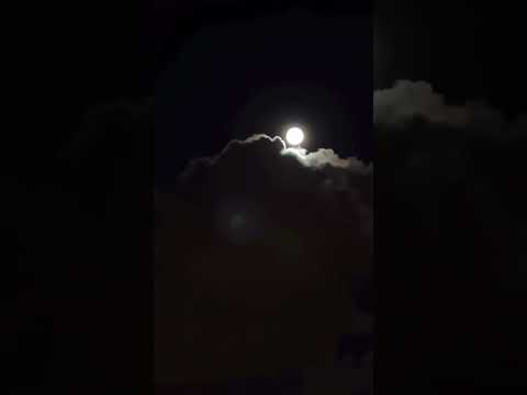 اسمع يا طير احمد الهوني ايمن الهوني