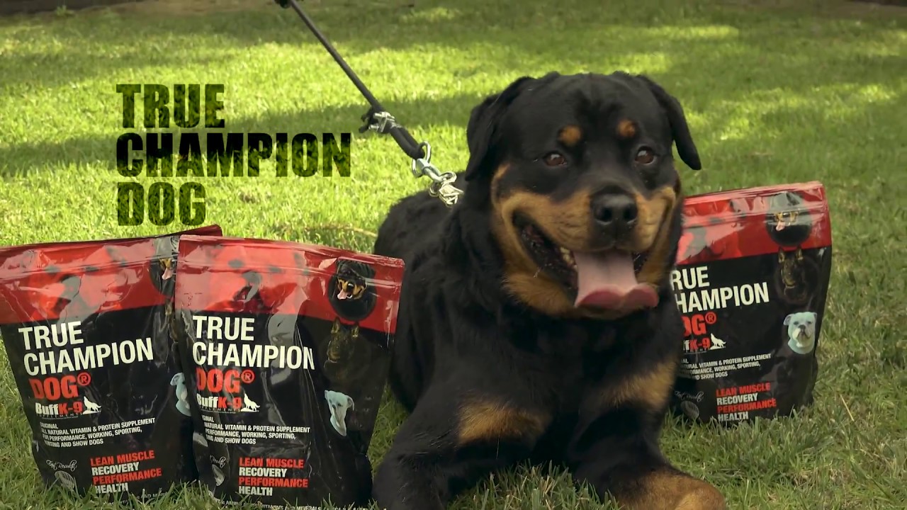 True Champion Dog Supplement Review