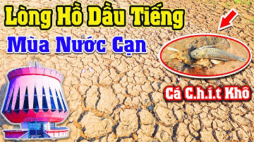 "Khám Phá" Hồ Dầu Tiếng Mùa Nước Cạn "Thời Tiết Nắng Hạn Khô Nóng Cực Độ" sau cơn mưa đầu mùa ntn?