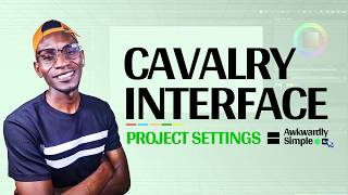 Cavalry Beginner Guide - Asset Panel Project Settings