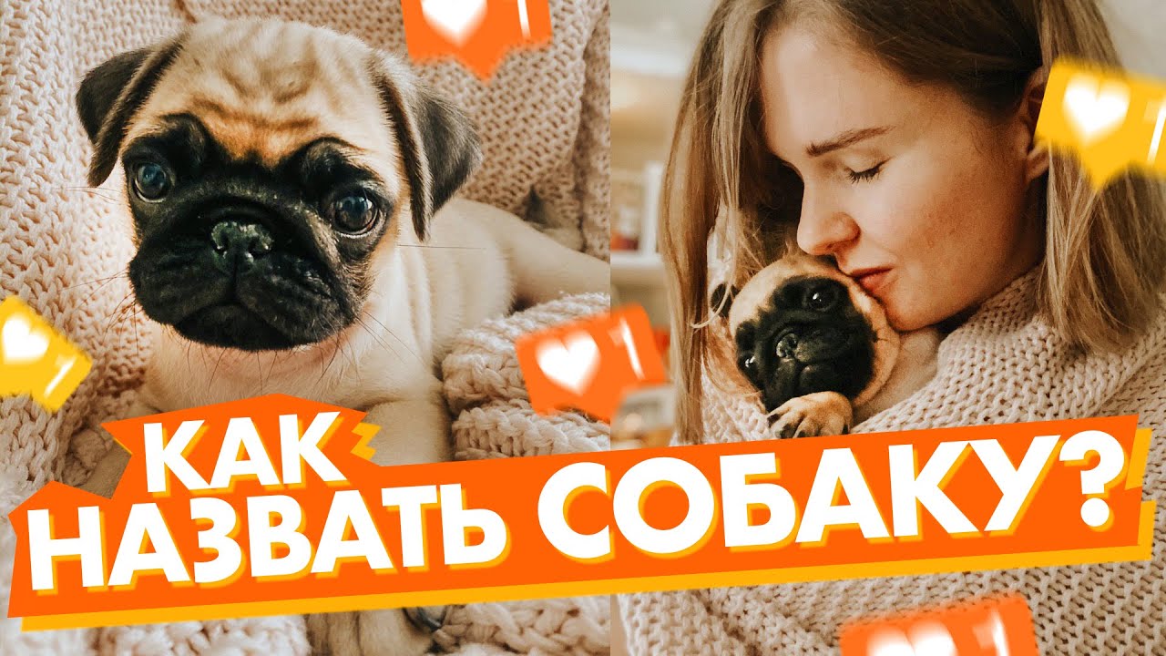 Как можно назвать богдана