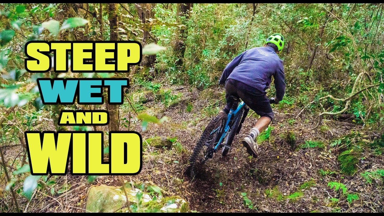 Riding Wet Roots & Steep MOUNTAIN BIKE Trails Hogsback Trails YouTube