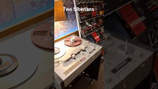 #АудиоСаммит 2026, #ZavalinkaRecords, #iiacoustics, TwoSiberians, #Studer A80, #Kondo