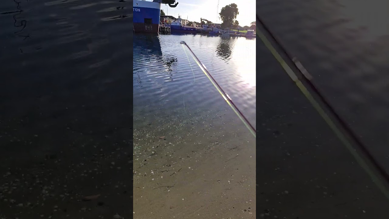 Monday late arvo fishing 