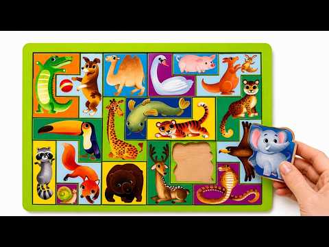 Complete the Animal Puzzles! 🦒🐯 Matching & Counting Fun
