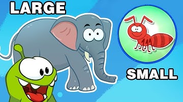 Learn With Om Nom | Learn Opposites + Educational Videos For Kids
