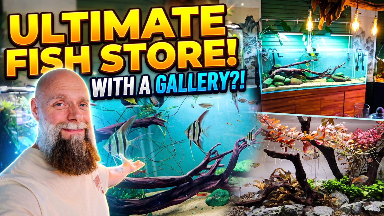 The Ultimate Florida Fish Store! (Hidden Breeding Room & Aquascape Gallery)