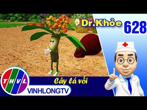 Video Dr. Khỏe - Tập 628: Cây lá vối - Phần 4 - youtube