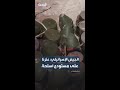 الجيش الإسرائيلي عثرنا على مستودع أسلحة لحزب الله في جنوب لبنان