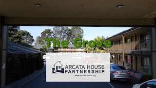 Live CREATING THE GROVE Full Three Part Video Series Camera Feed