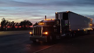 Should I Stop Hauling For Swift/Knight? Should I Stop Pulling Loads Out Of Americold? | 6 Hour Wait