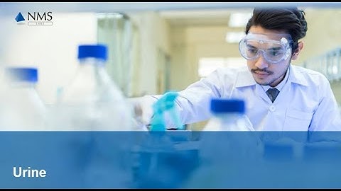 Postmortem Specimen Collection Tips - Urine