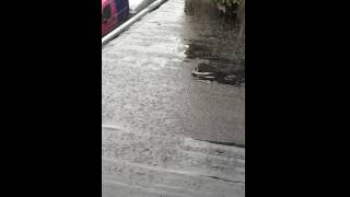 IMG 4193