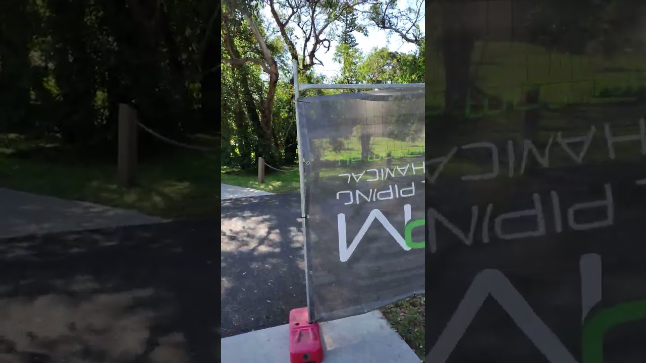 Berwick pine tree removal progress update Wednesday 19th November 2025